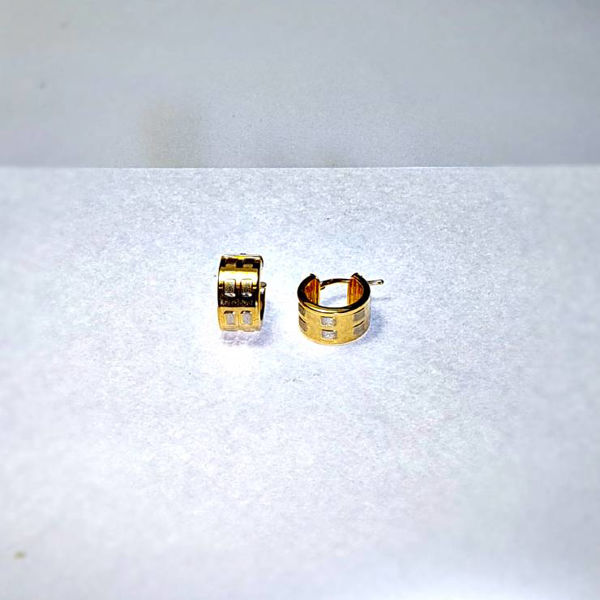 Picture of GOLDPLATED EARRINGS LOOPS